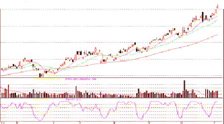 08°̓rչ̓rc칫ԇȸ(5)