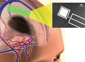 燃料電池 燃料電池